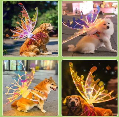 🧚‍♀️✨LED fairy wings